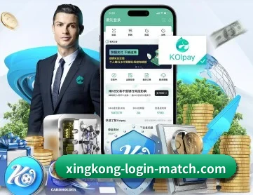 星空登录 APP 深度功能